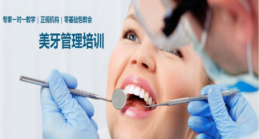 上海学习美牙技术培训机构排名前十 美牙技术培训有哪些学习方法