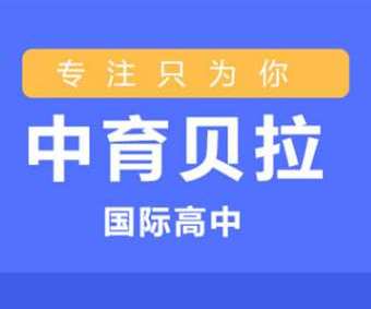 深圳地区AP考试全科培训学校汇总一览十大榜首今日公布