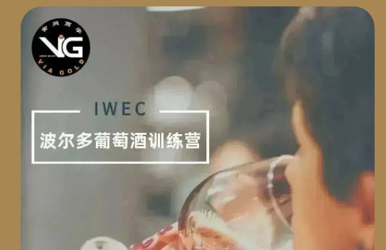 课程预告|波尔多葡萄酒训练营