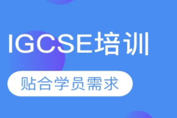 广东IGCSE培训课程精品培训班