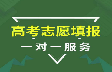 重庆当地十大高考志愿填报机构名单一览