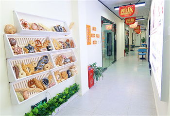 广东轻食简餐培训机构三大排名汇总一览