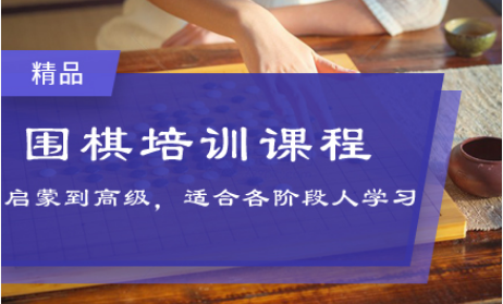 上海专业的少儿围棋一对一线上培训机构五大排行榜一览