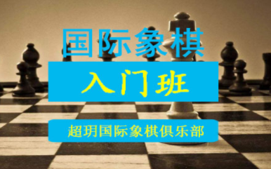 国内国际象棋入门课程排名前十培训机构精选一览