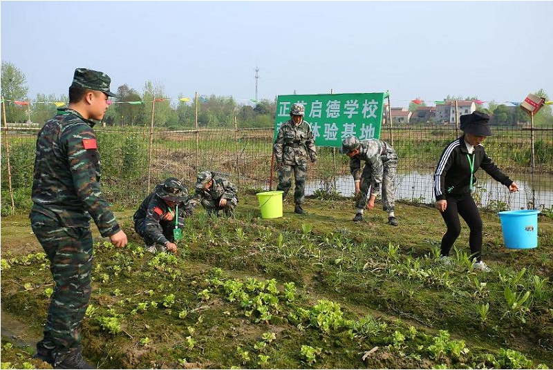 微信截图_20231008113826.png