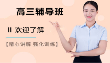 武汉高三全日制冲刺课程辅导机构十大排名精选一览