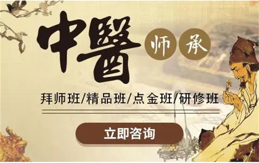 中医师承出师班