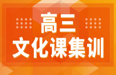 深圳高三艺考文化课集训机构前十大名单榜