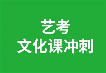 武汉艺考文化课全日制精品课程