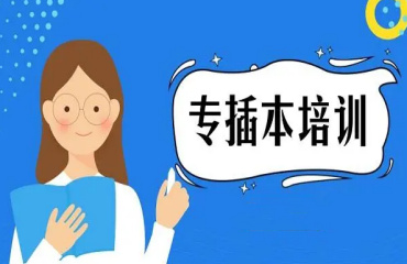 本科菁英计划