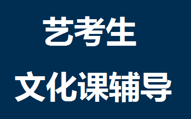 东莞艺考文化课培训课程