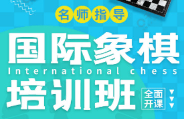 国内2025十大国际象棋培训班排名精选一览