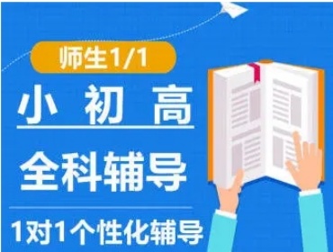 大揭秘重庆十大小初高1对1辅导机构排名一览