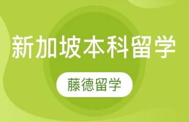 上海10大新加坡国际本科培训机构排名一览