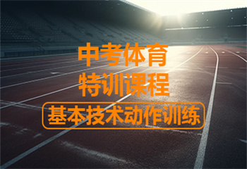 杭州中考体育特训课程