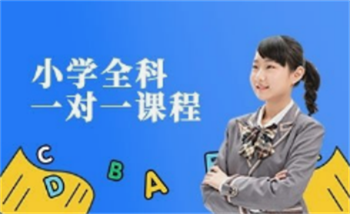 小学课程全科辅导