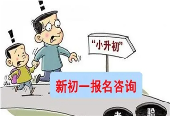 2024河南郑州暑假小升初衔接班top排行榜一览