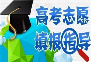 成都8大高考志愿填报指导师资强的服务机构排名介绍
