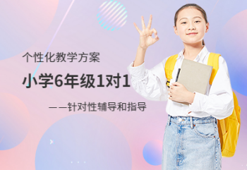小学6年级一对一课程