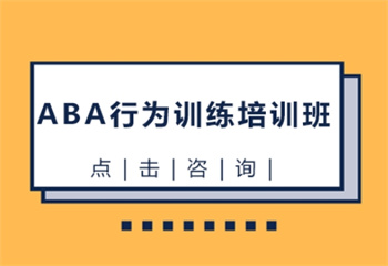ABA行为训练课程