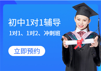 初一一对一课程