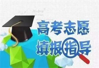 2025山东济南5大高考志愿填报一对一咨指导服务机构排名一览