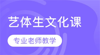 湖北武汉高三艺考文化课补习机构10大优质名单