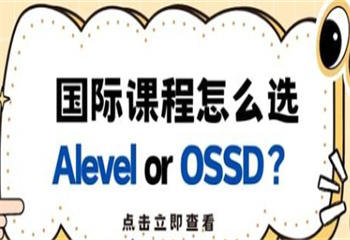 上海国内排名前十的alevel国际课程辅导班实力榜更新