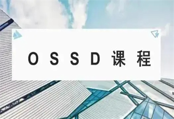 热榜!成都口碑好的前十OSSD国际课程辅导机构排名一览