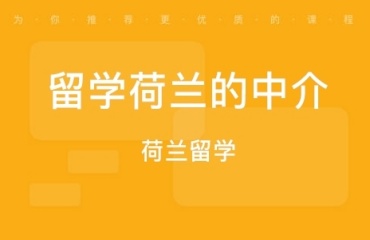 上海出国留学荷兰中介排名前十精选名单汇总一览