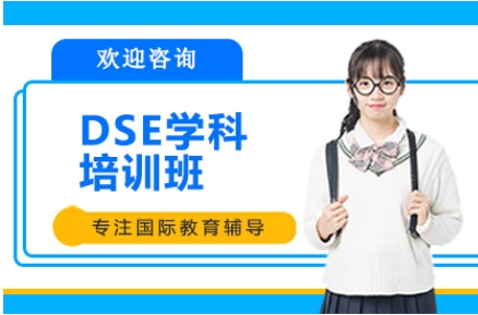 国内十大DSE学科课程培训机构名单推荐