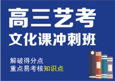深圳地区10大高考艺考文化课补习辅导机构名单榜首一览