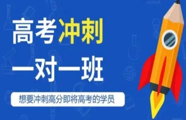 天津市十大高考全科一对一冲刺辅导班机构排名更新
