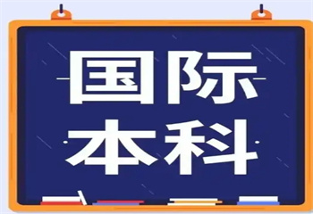 国内4+0国际本科院校十大排名推荐一览